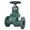 Globe Valve